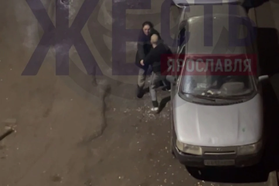 Александра Бастрыкина заинтересовало поведение мигранта из Ярославля. ФОТО: телеграм-канал "Жесть Ярославль"