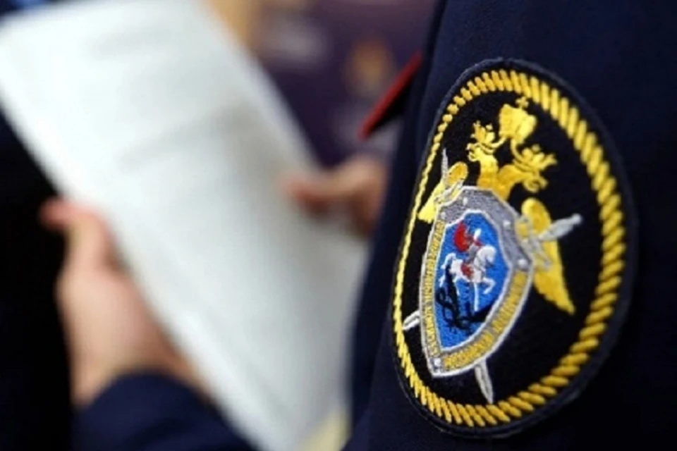 Следователи продолжают сбор доказательств и допрашивают свидетелей. Фото: СК РФ по ДНР