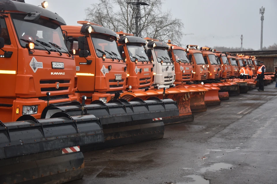 Фото: администрация Костромы