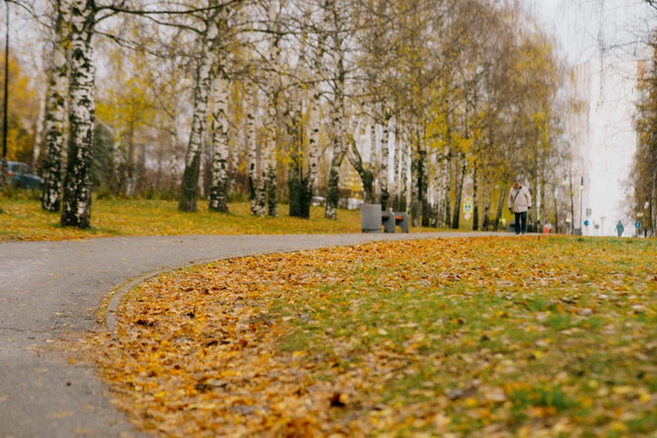 Еще один отличный день