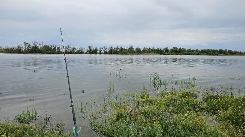 Ловить щуку запрещается в Каспийском море, в реке Волга и её водотоках