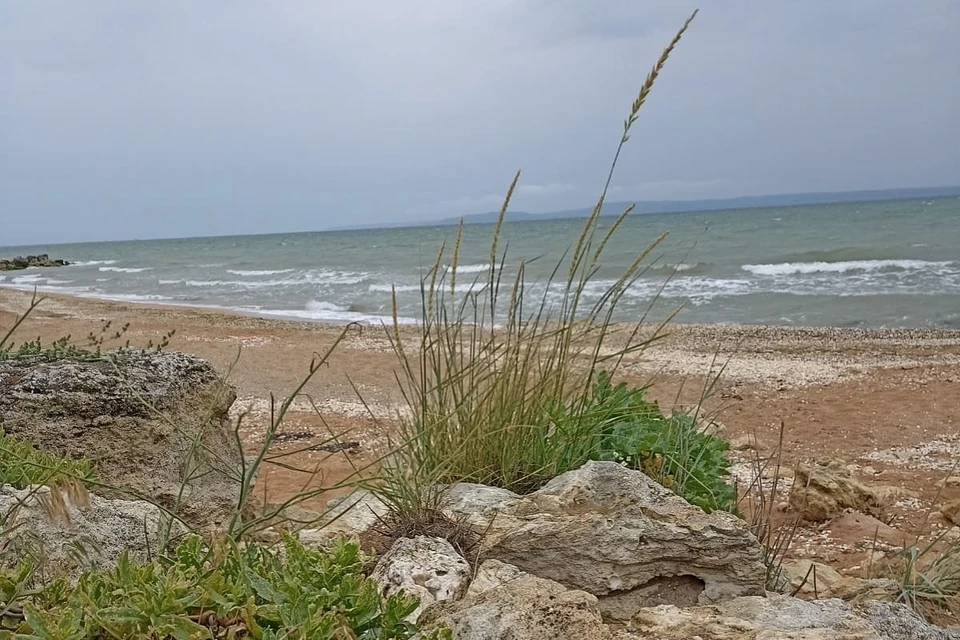 Две техногенные катастрофы имеют как схожие черты, так и различия. Фото: ЮФУ.