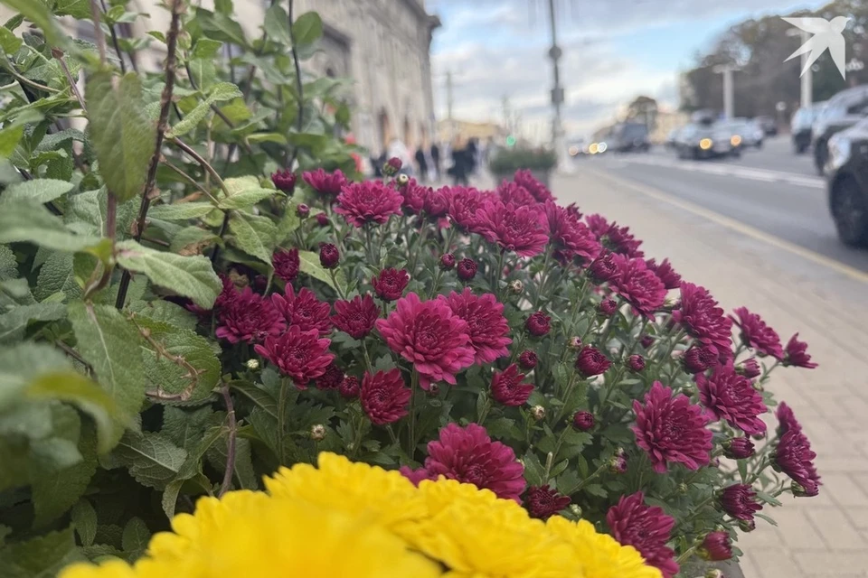 Белгидромет сказал белорусам о теплой погоде в начале ноября 2025. Снимок носит иллюстративный характер. Фото: архив «КП»