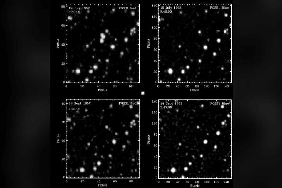 Есть звездочки (слева) – нет звездочек (справа). Улетели… Фото: nature.com