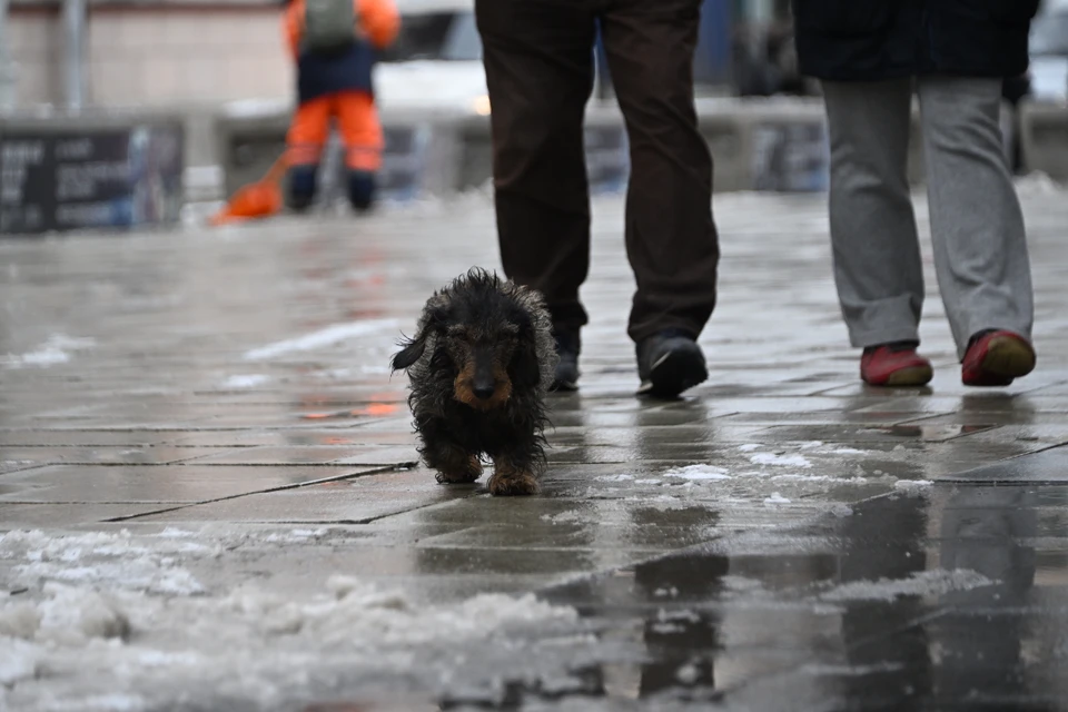 Дождливая погода будет в Иркутске 31 октября