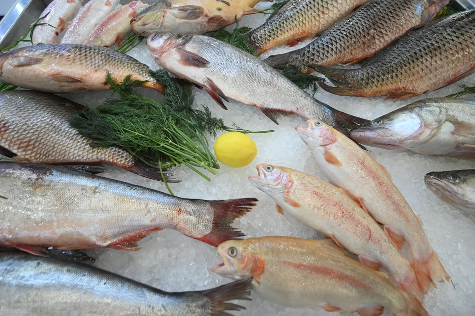 В Госдуме хотят ввести в магазинах рыбный четверг с продажей рыбы за полцены