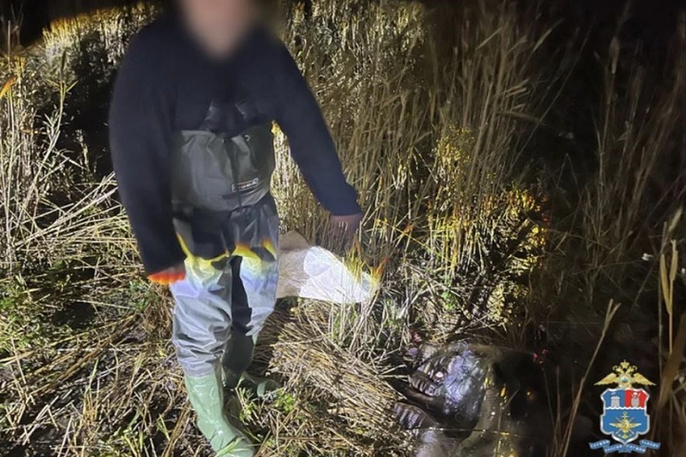 Задержанному грозит до трех лет лишения свободы. Фото: пресс-служба УТ МВД России по СКФО