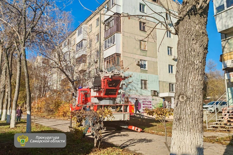 Надзорный орган проводит проверку.