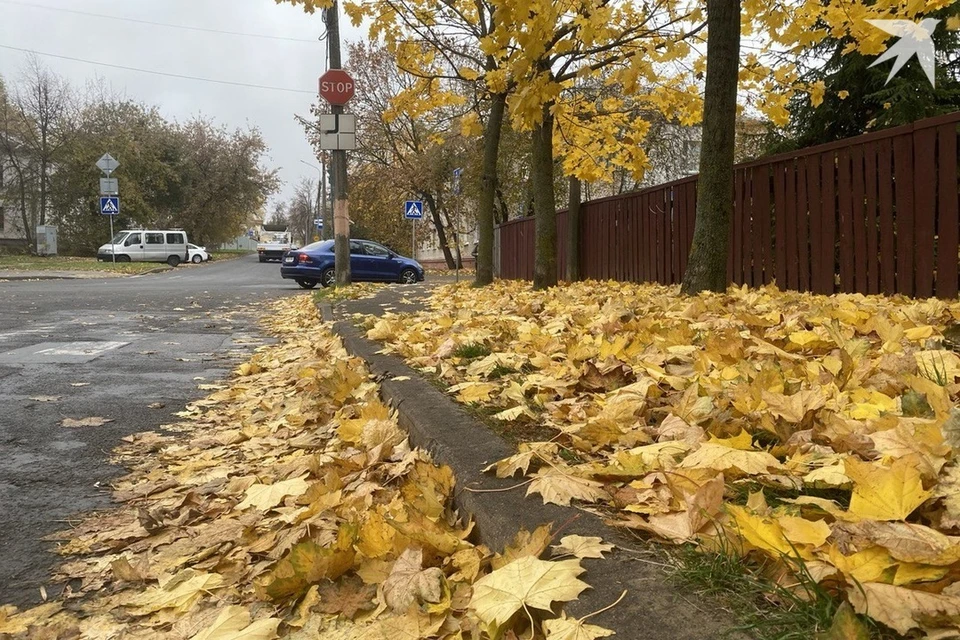 Собрали приметы и запреты на 1 ноября, когда отмечают Иванов день. Снимок носит иллюстративный характер. Фото: архив «КП»