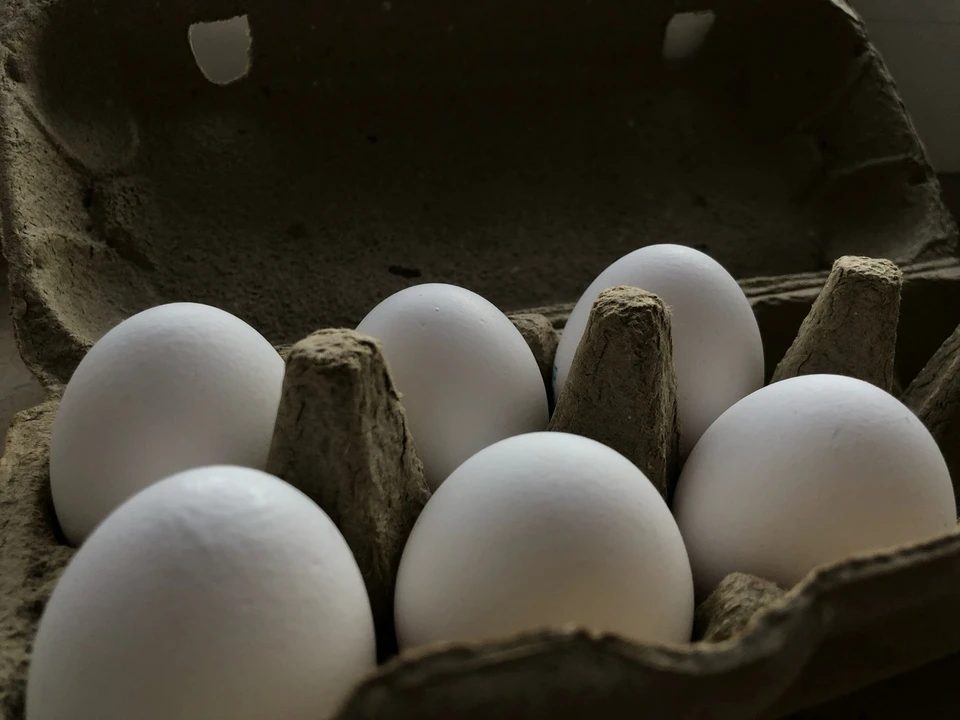 Фото предоставлено КП