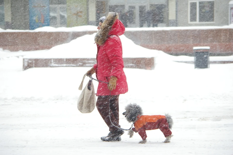 1 и 2 ноября в Новосибирской области прогнозируются осадки, гололедица и резкое похолодание.