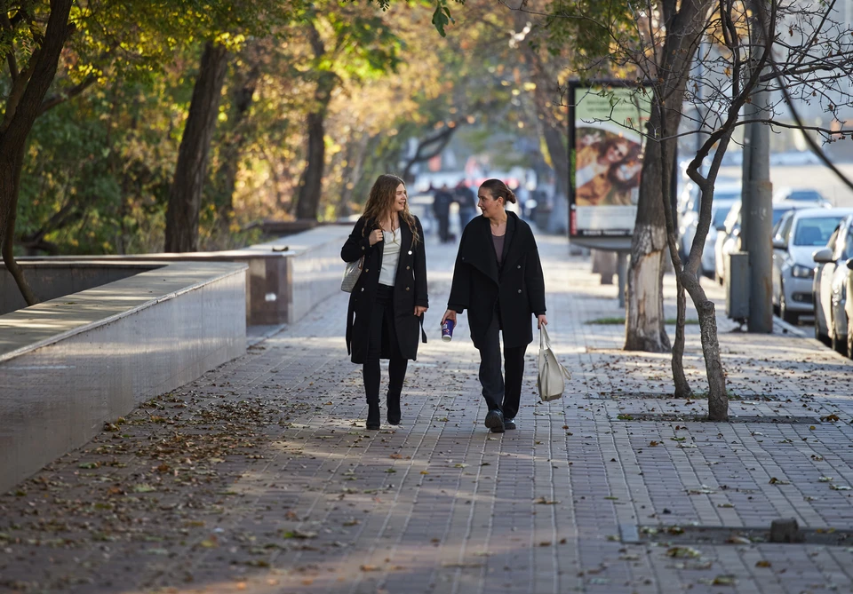 Дождей синоптики не прогнозируют