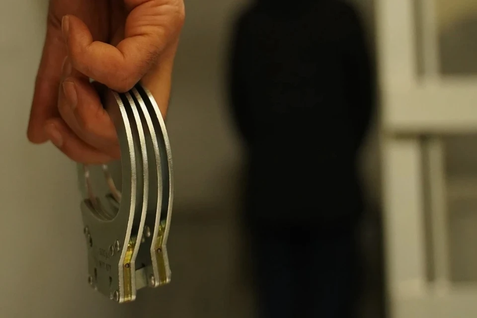 Суд конфисковал ее авто и смартфон.