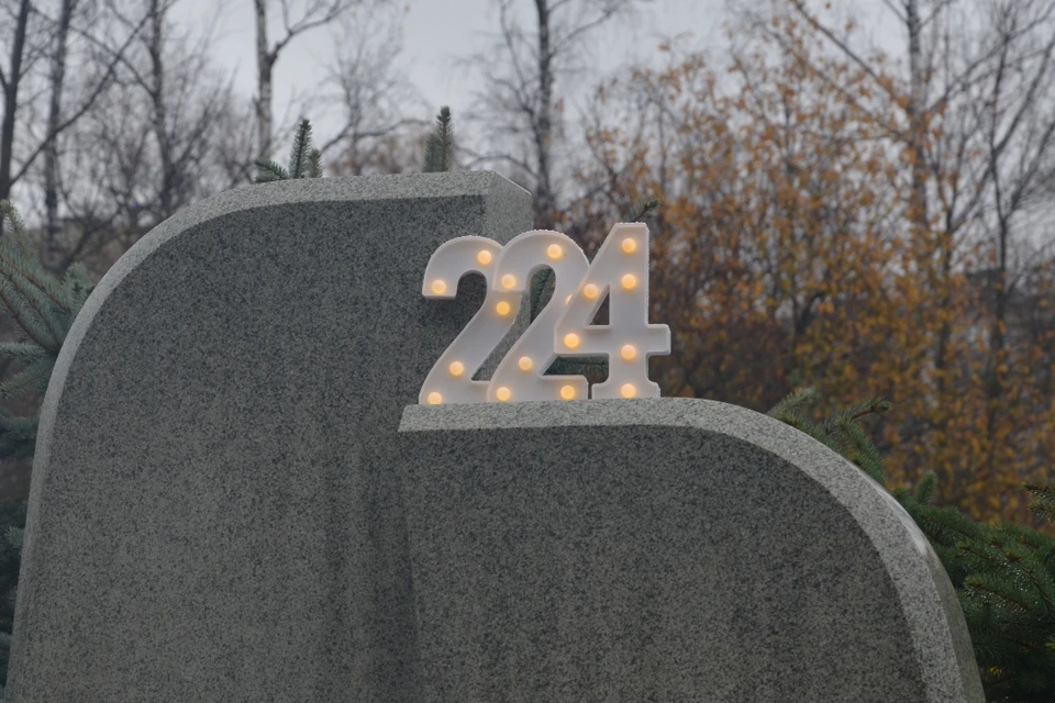 Теракт над Синаем забрал жизни 224 пассажиров.