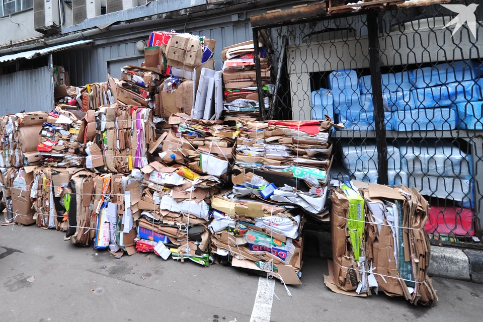 Адреса пунктов приема макулатуры: Мурманск, ул. Марата, д. 5 В (ООО «ЭкоСистемаСервис»), Кольский проспект, д. 51(Мурманский филиал АО «Ситиматик»), Североморск, Советская улица, д. 14А, пункт приема вторсырья «Вторматик», Апатиты, ул. Гладышева, д. 17.