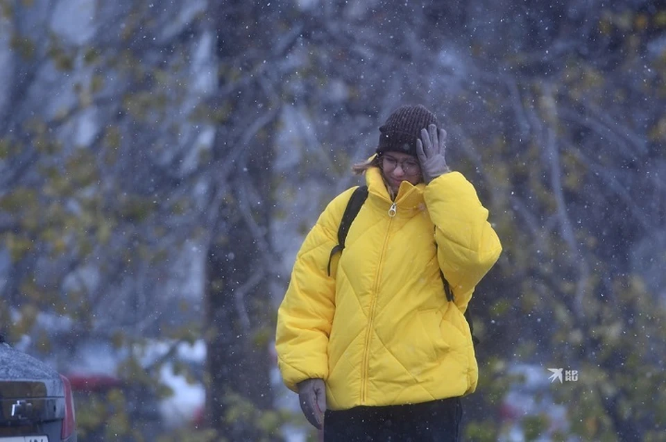 Длинные выходные в Свердловской области будут дождливыми