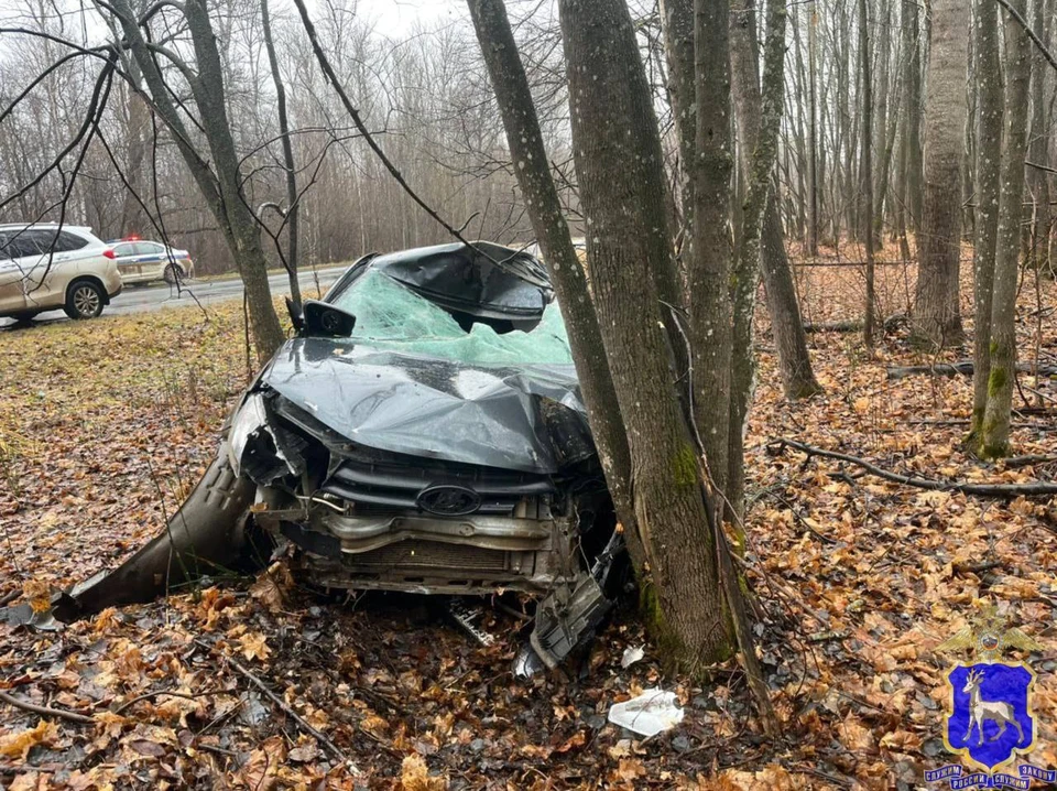 После столкновения с лосем легковушка вылетела в кювет и опрокинулась