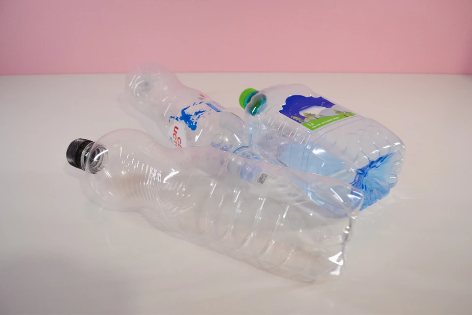 Программа фестиваля включала тематические уроки, мастер-классы по росписи экосумок.