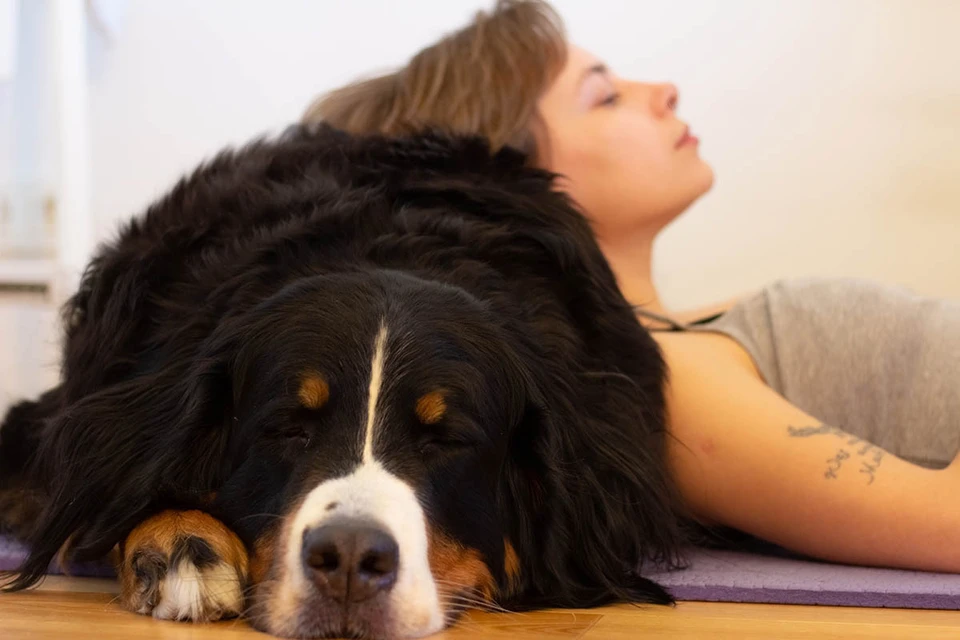 53% опрошенных россиян планируют все ноябрьские праздники отдыхать дома