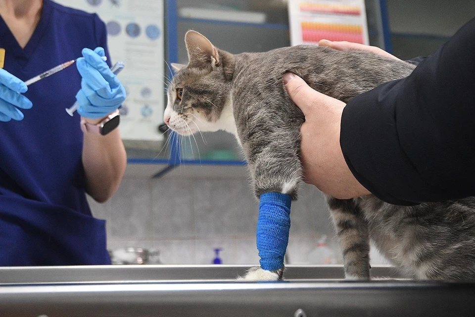 Предпринимателя привлекли к административной ответственности.