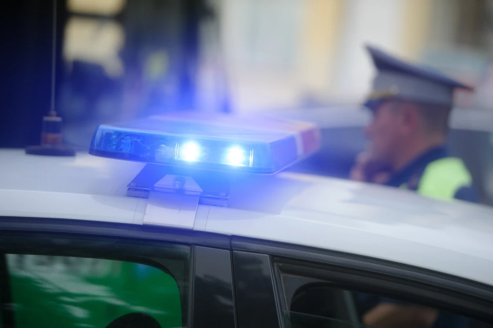 Рейд по выявлению пьяных водителей пройдет в Москве со 2 по 4 ноября