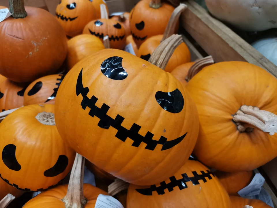 Фестиваль завершили в первый же день.