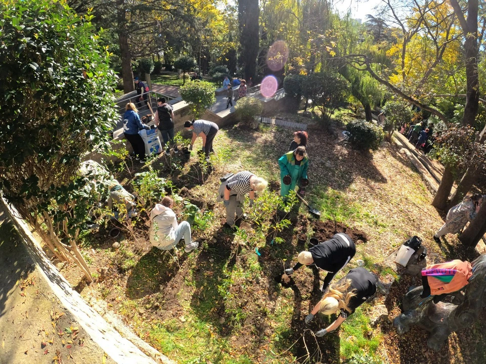Фото: администрация Ялты/Tg