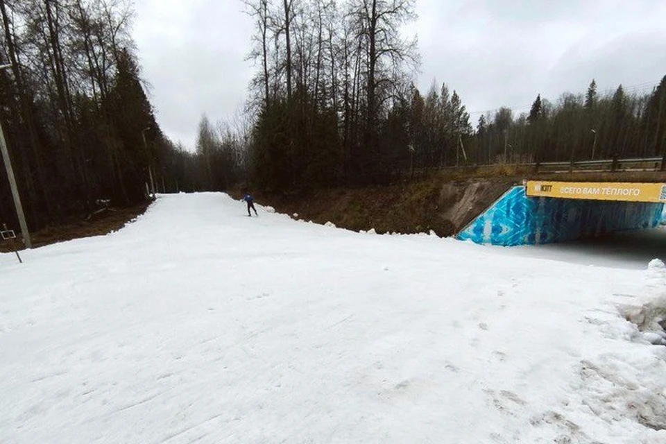 Проложили лыжную трассу. Фото: пресс-служба Главы и правительства Удмуртии