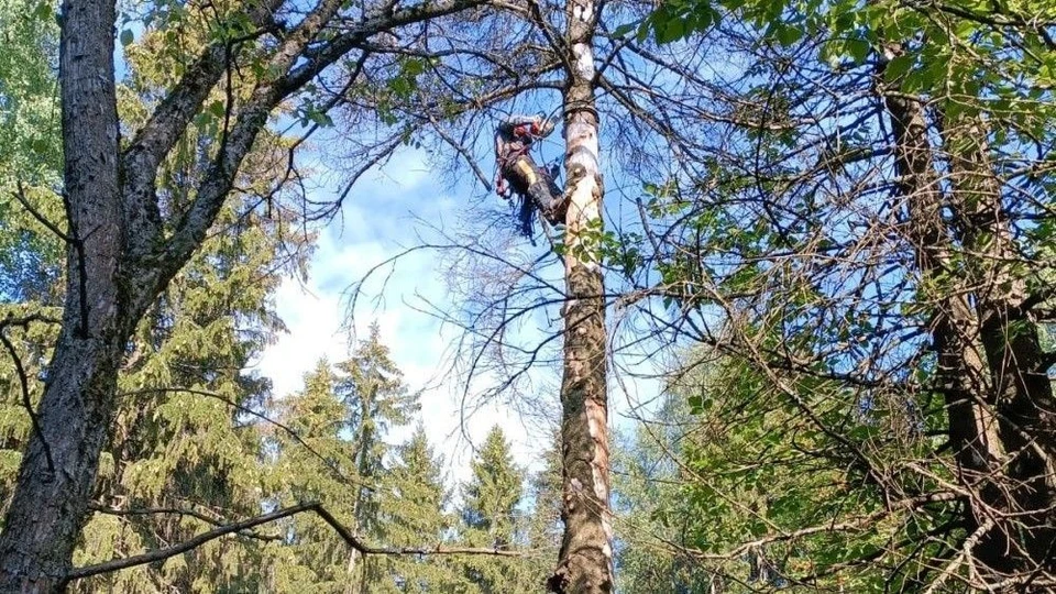 Фото: пресс-служба администрации Кирова