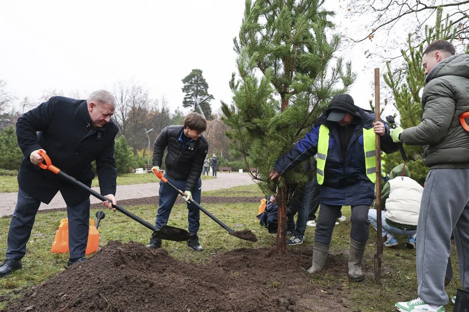 Деревья высадили в честь акции. Фото: t.me/PetrichenkoSergey