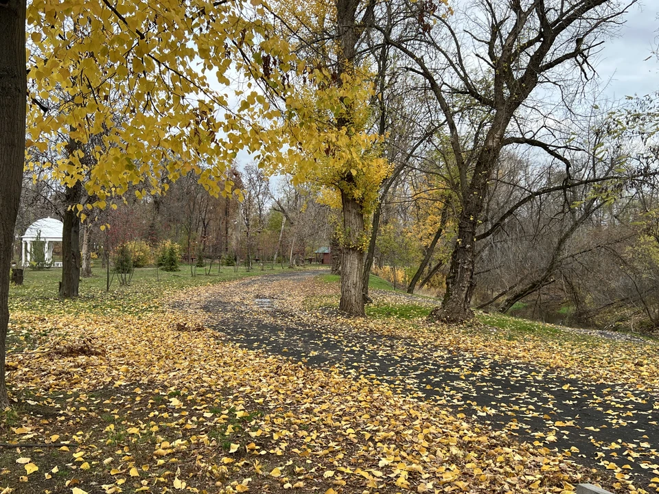 Теплую осеннюю погоду прогнозируют в ЛНР
