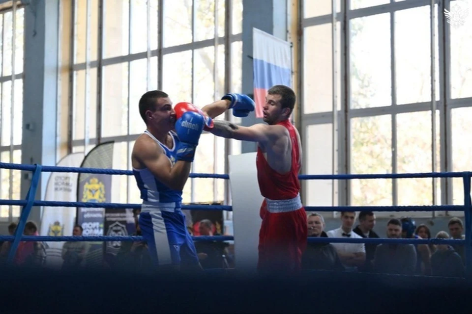 Чемпионат региона по боксу прошел в Скадовске. Фото: тг-канал Владимира Сальдо
