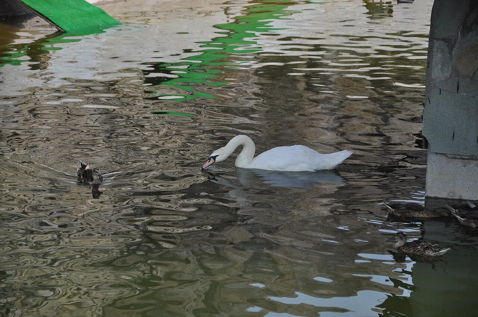 Фото: архив редакции