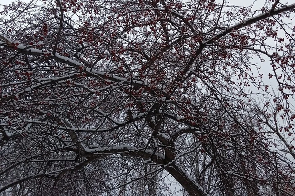 Погода в Югре с 3 по 9 ноября