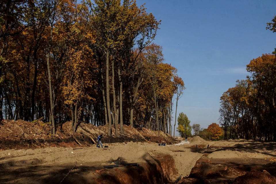 В Новосибирске расчищают территорию будущего парка «Усть-Тула».
