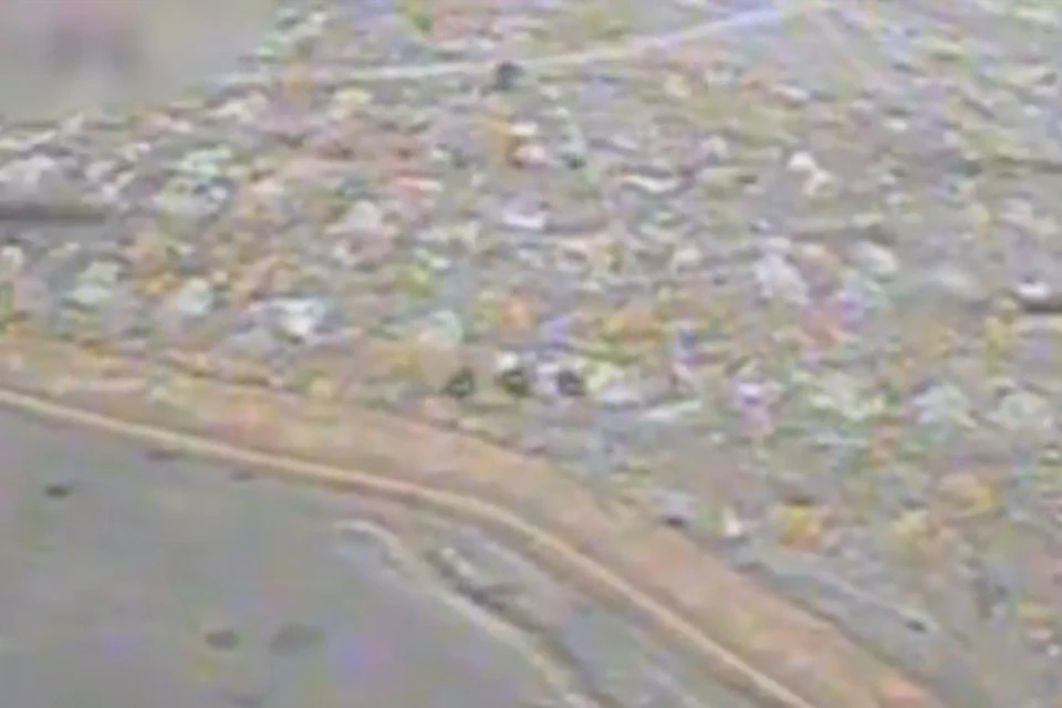 Фото: скриншот из видео Минобороны РФ