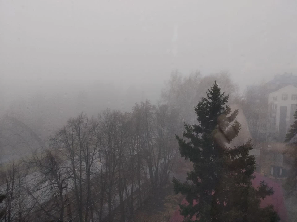 Погода в Барнауле 4 ноября 2025