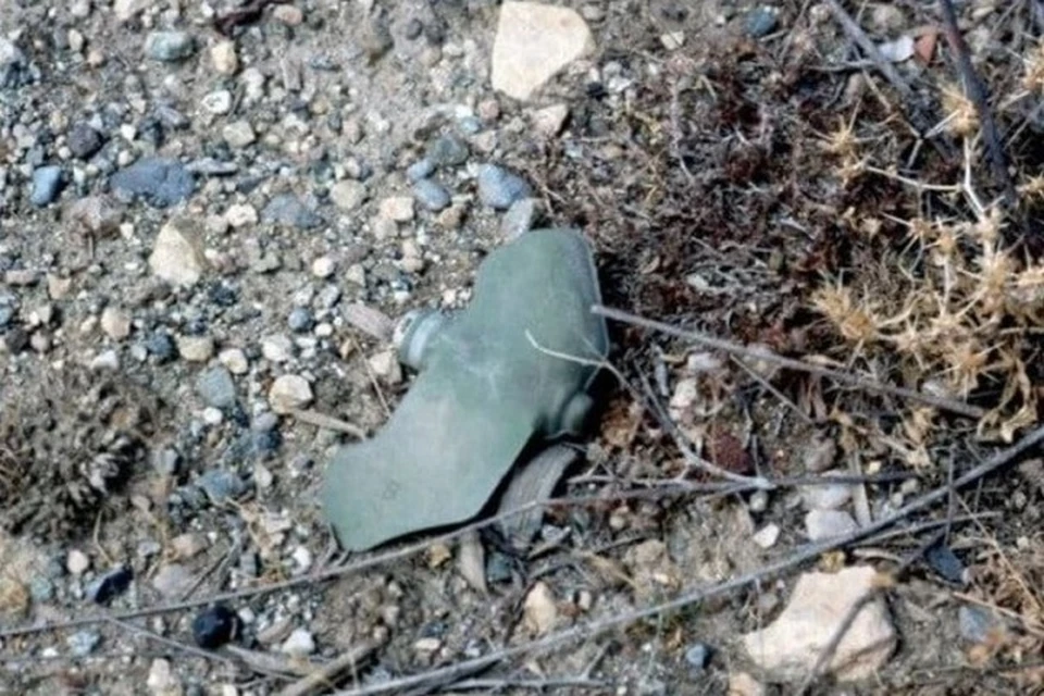 В ДНР с февраля 2022 года 191 человек подорвались на ПФМ-1 «Лепесток». Фото (архив): МЧС России по ДНР