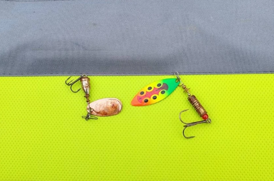 Фото: Центр по ООПТ Республики Коми