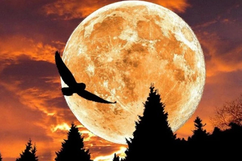 Открытый источник