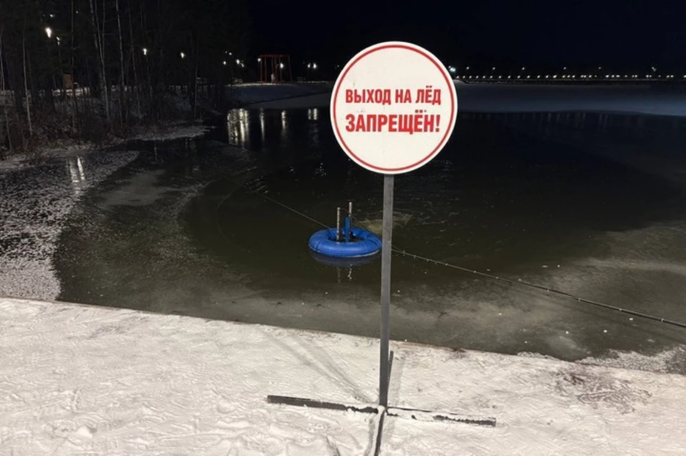 Фото: тг-канал Евгения Буренкова