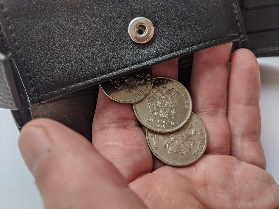 В Тульской области установили прожиточный минимум на 2026 год