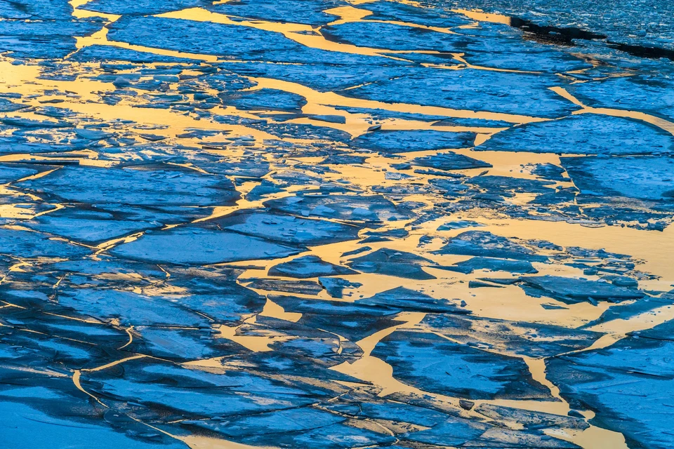 Мальчика успели быстро вытащить из воды