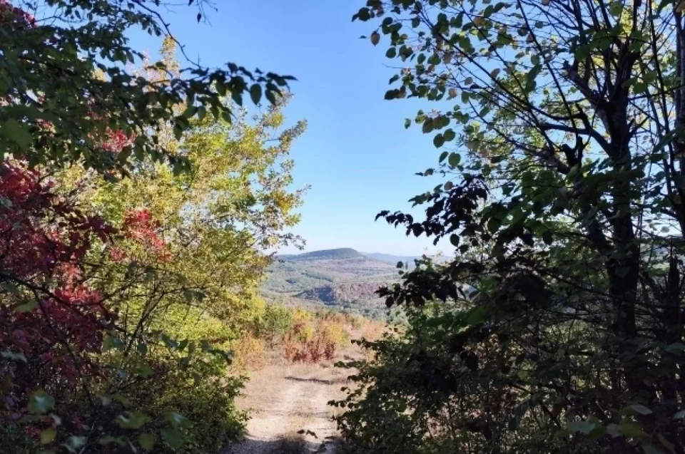 Фото: Наталья Дремова\"АиФ Крым"