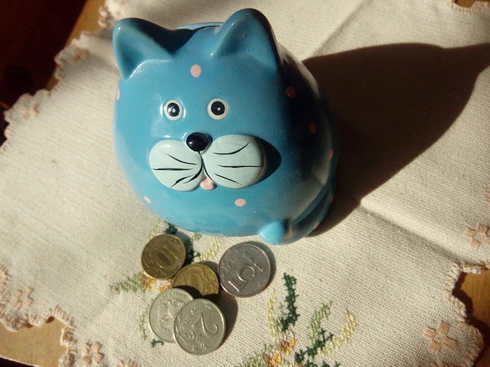 Фото Елены Федяшевой