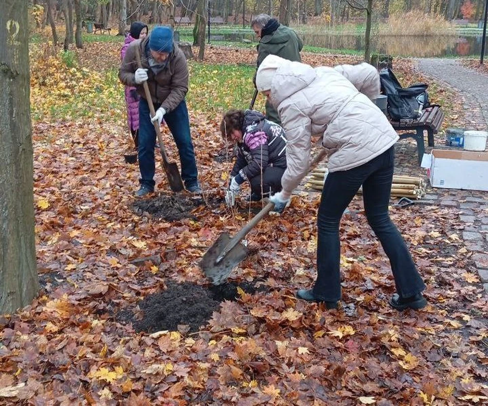 Фото: дирекция ландшафтных парков Калининграда.
