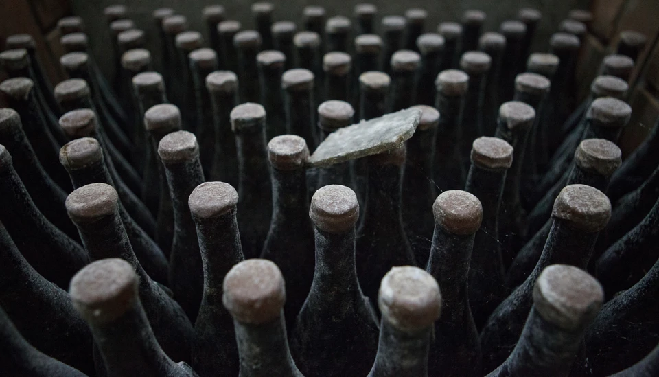 Фото: архив "КП".