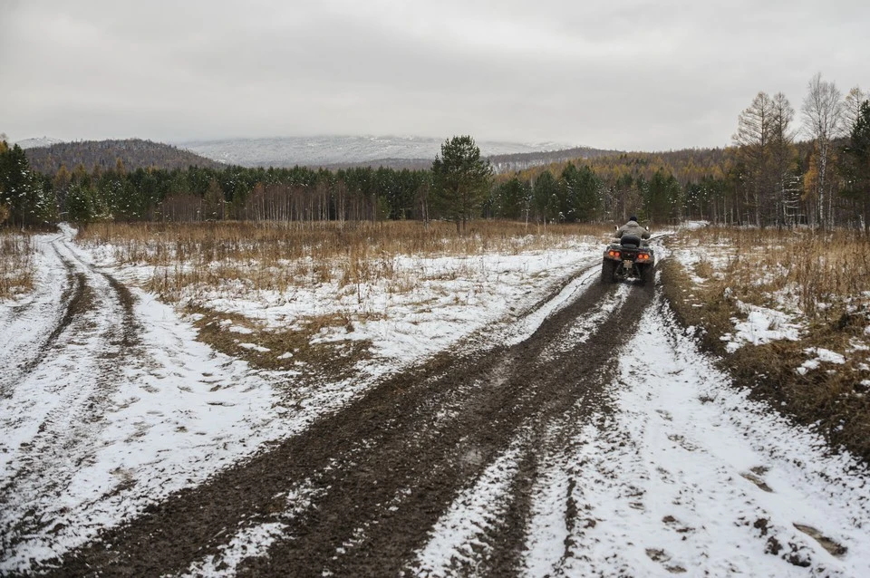В лесной зоне Сибири, где ищут семью Усольцевых, исчезали люди