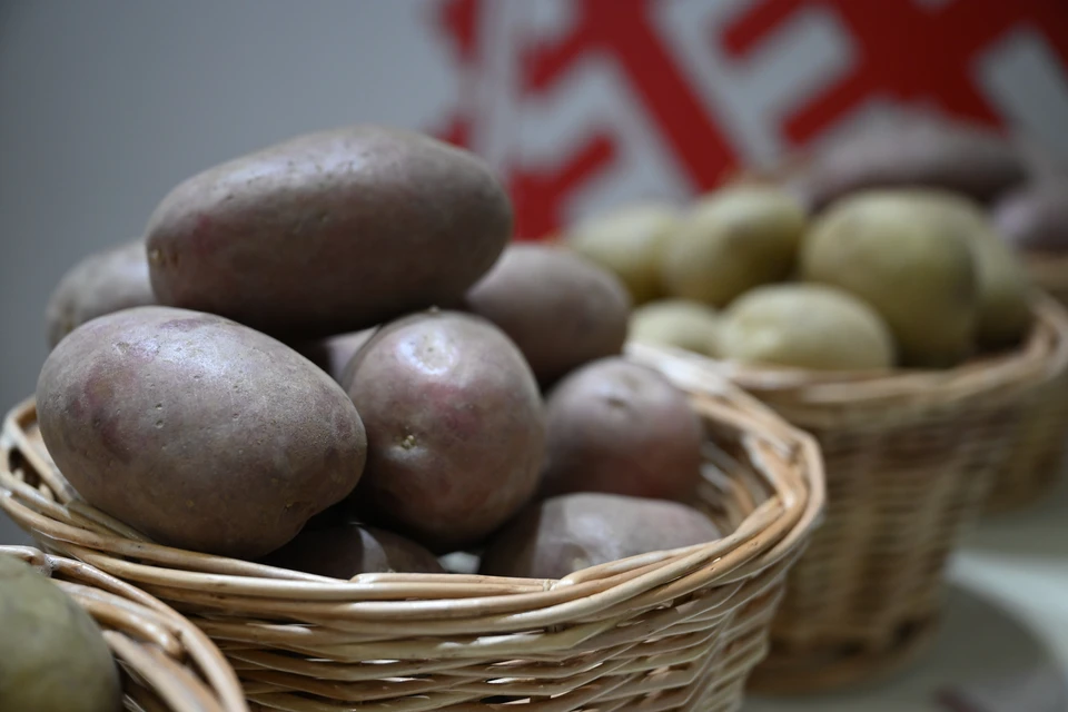 Продукцию поставляли хозяйства, КФХ и кооперативы