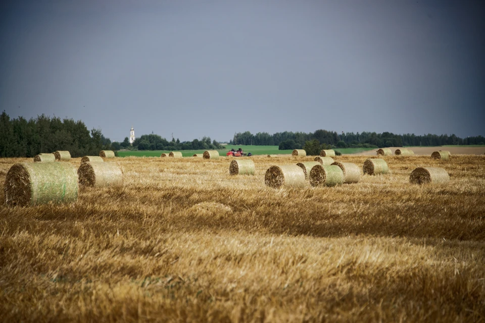 Пострадавший от паводка Оймяконский район обеспечен необходимым объемом сена